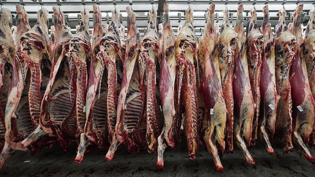 Northern farmers call for accountability on beef specifications
