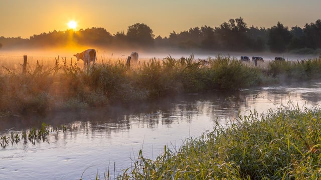 Farmer in the North fined for polluting waterway causing serious fish kill