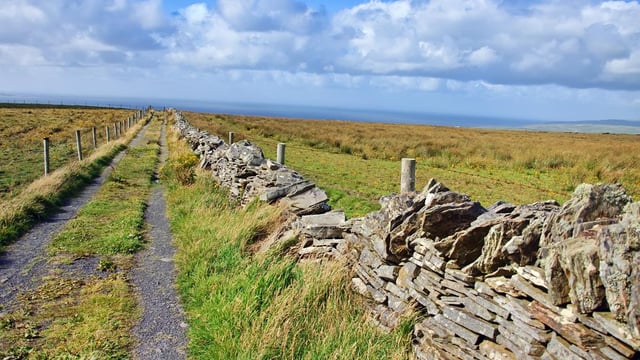 Number of farmers applying to farm assist falls (€88.4m paid out last year)