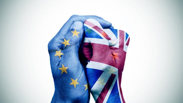 Almost half of Member States want their own EU exit referendum