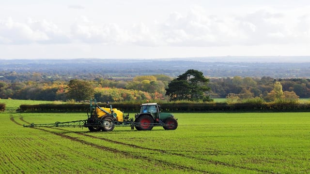Everything you need to know about glyphosate