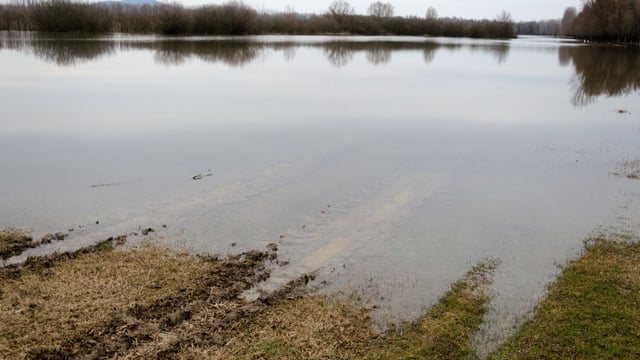 Farming Recovery Fund payments to be made this summer