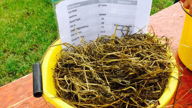 Silage quality shock on the cards for farmers