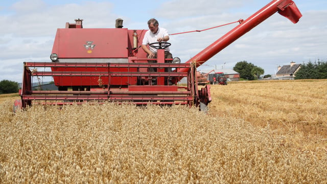 See machinery from the 1940s put through its paces at the Autumn Harvest Extravaganza