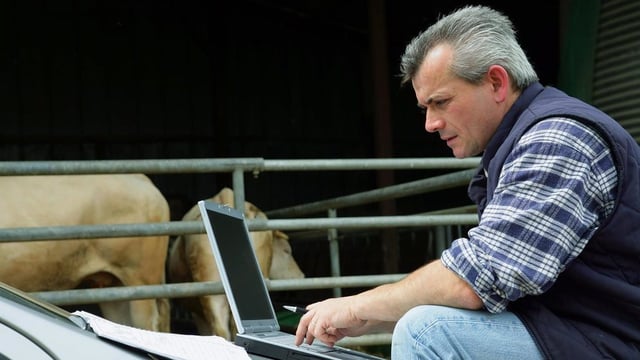 BASIS launches new online learning platform