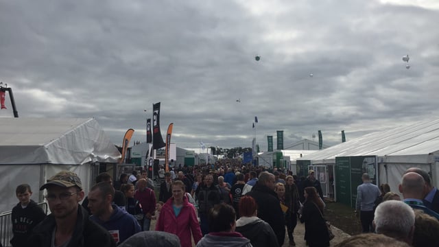 Take a selfie with Harry the Hereford at this year’s Ploughing