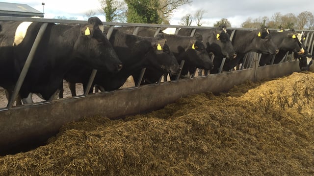 Value of Irish dairy exports to the UK drops 10% in 2016