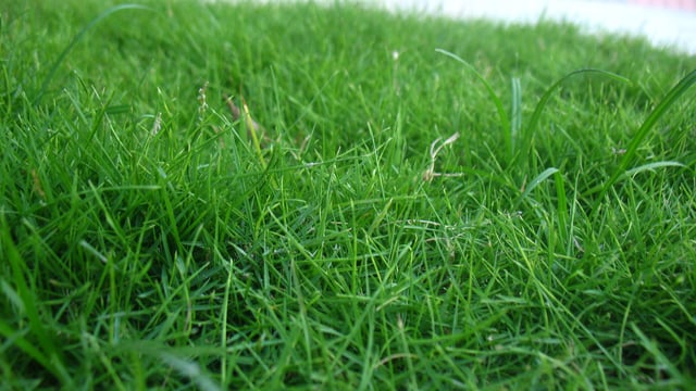 Farmers urged to improve soil quality now in advance of spring
