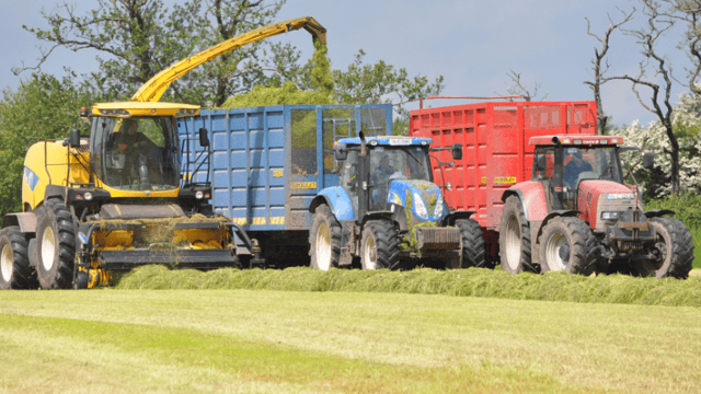 How much will it cost to get your (pit) silage cut?