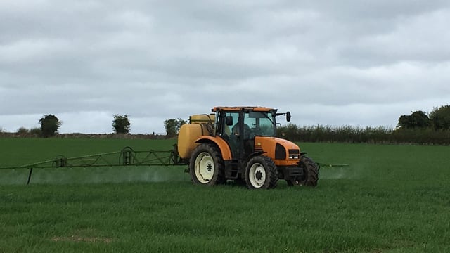 Best-practice cereal management tips – for the month of May