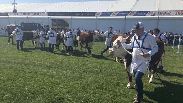 Video: Watch the first day at Balmoral Show 2017