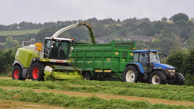 Reminder: The ‘Great Grass Event’ aims to set new forager world record tomorrow