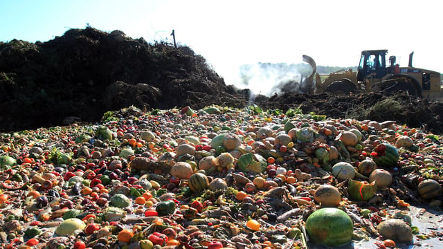 Food waste tackled in new Reduction Roadmap initiative