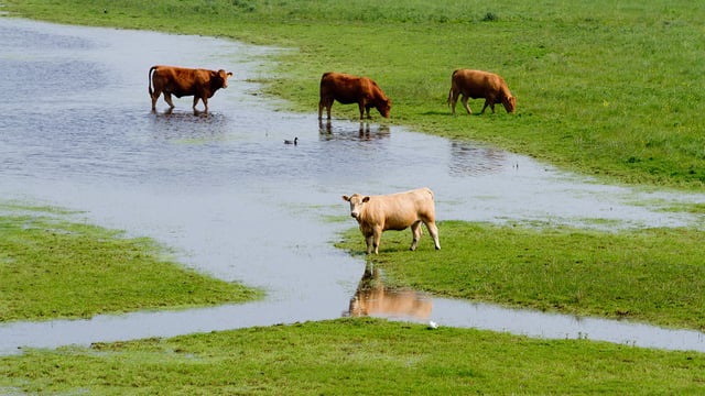 Fund to support farmers affected by flooding opens