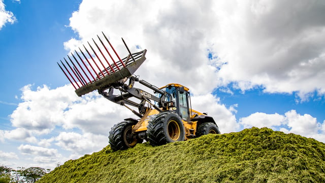 AD and biomass slammed for eating up crop stocks as shortage looms