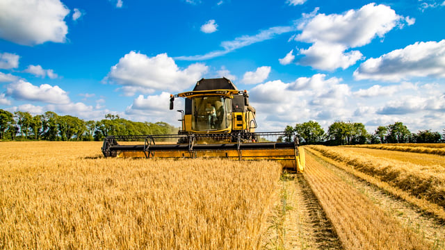 Video: 4,000ac Murragh Farm hitting yields of 4.5t/ac