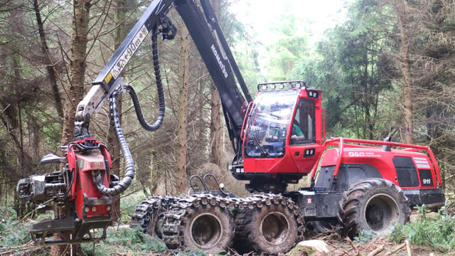 Pics: Laois brothers cut their teeth in forestry business with monstrous machines