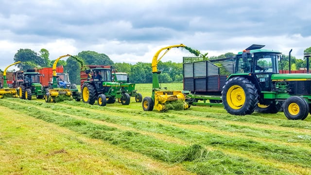 Don’t let this year’s weather impact your silage quality