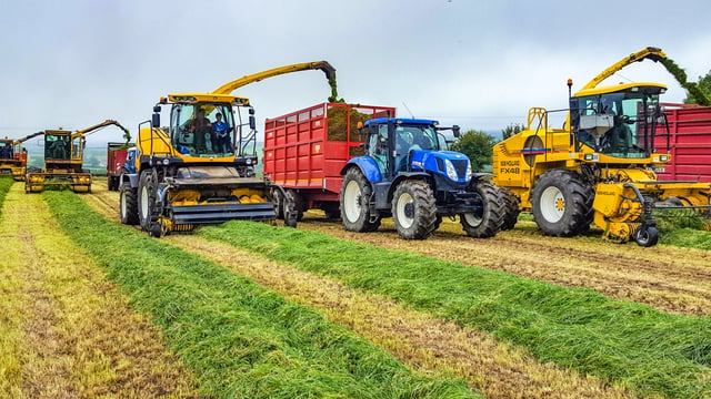 Pics: Forager frenzy at Ford-themed machinery extravaganza in Cork
