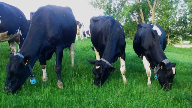 ‘Milking More from Grass’ event set for September