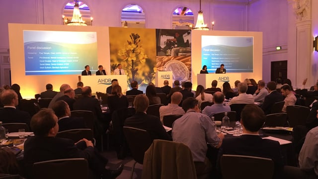 ‘Hope for the best; plan for the worst’: How British tillage experts are planning for Brexit