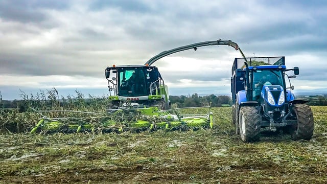 Latest-generation Claas Jaguar hits Ireland – but how does it affect the bottom line?