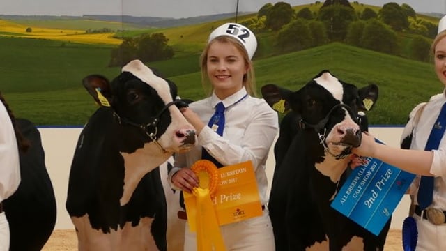 Northern Ireland Holstein breeders manage impressive All-Britain campaign
