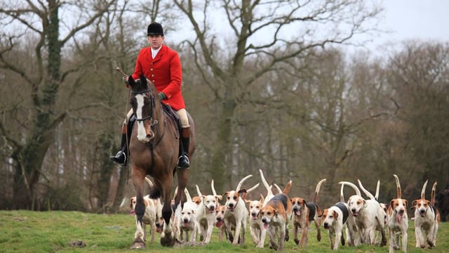 Defra advances trail hunting ban as consultation opens to public