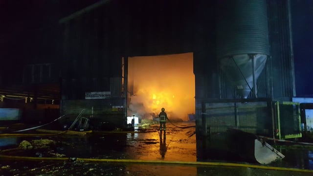 ‘Rare Breed’ farmer loses straw and machinery in major shed blaze