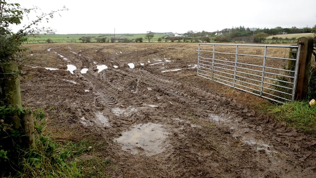 Fodder crisis: ‘Hard decisions must be made now to protect welfare’