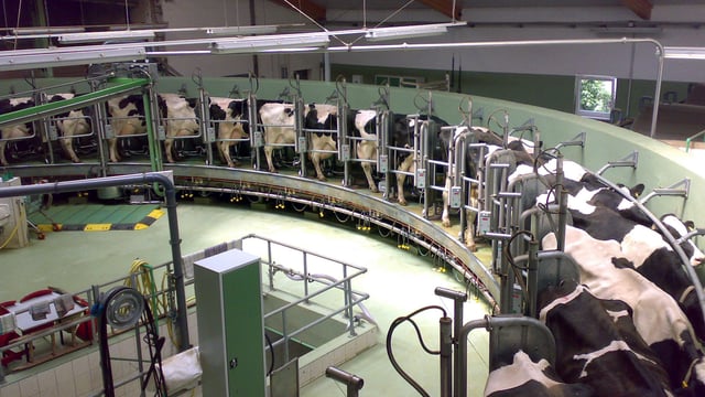 Northern production hits November record as milk prices rise above 33p/L