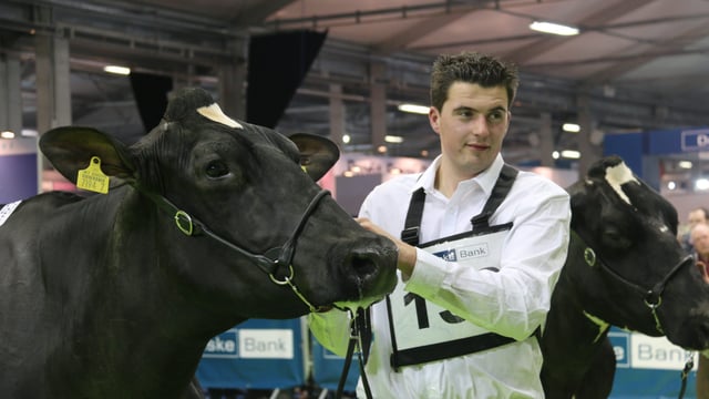 McCormick family takes centre stage at the Royal Ulster Winter Fair
