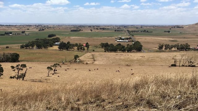 Dairy farming in a volcanic valley and exporting to China: Heather reports from Australia