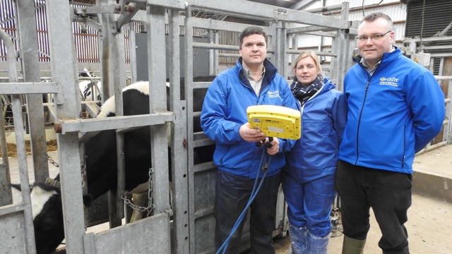 Poor heifer management could be costing your business