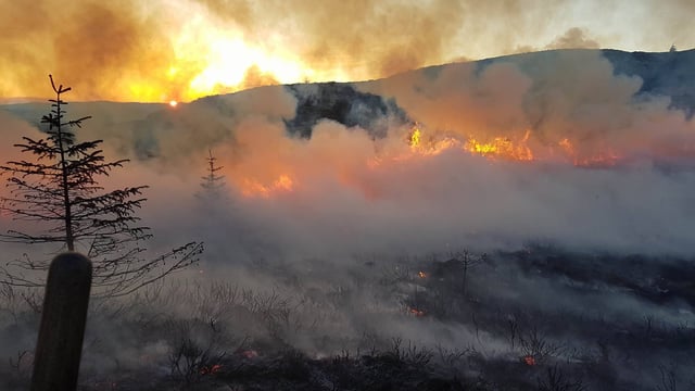 Majority of NI’s 2,200 gorse fires ‘started deliberately’