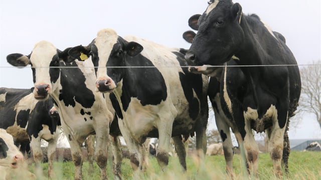 Farmers sought for pioneering grass management programme