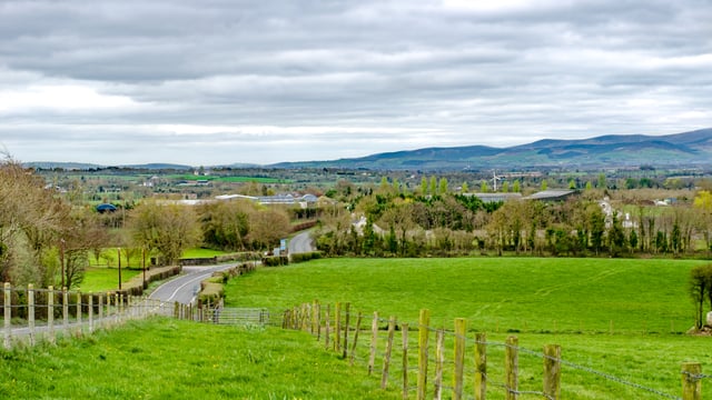 Future tree planting proposals must be ‘realistic’ – NFU Cymru