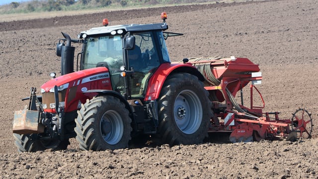 Taking on take-all to ensure good second wheats