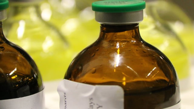 UK veterinary antibiotics sales fall to lowest in 25 years