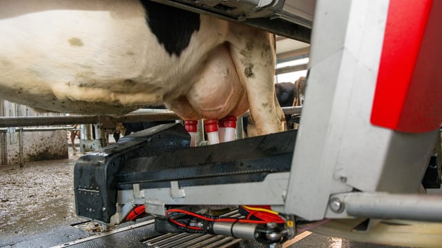 First robotic milking dairy farm to join Farm Excellence Programme
