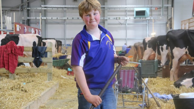 Farm boy’s inspirational shave gets Balmoral breeders digging deep