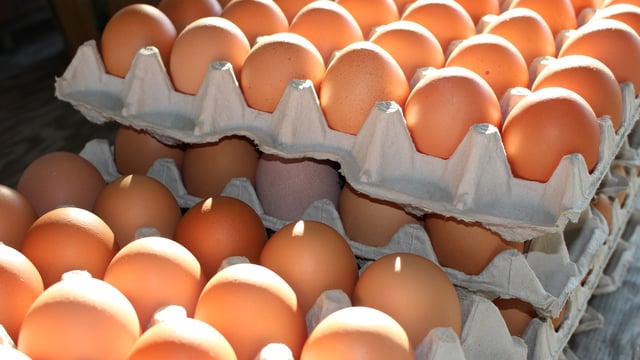 Egg industry calls on public to look beyond size on ‘Stir-up Sunday’