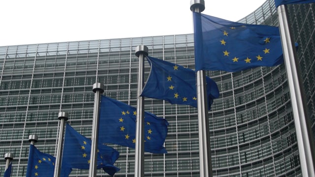 ‘Globalisation must work for EU farmers’ – Agriculture MEPs warn