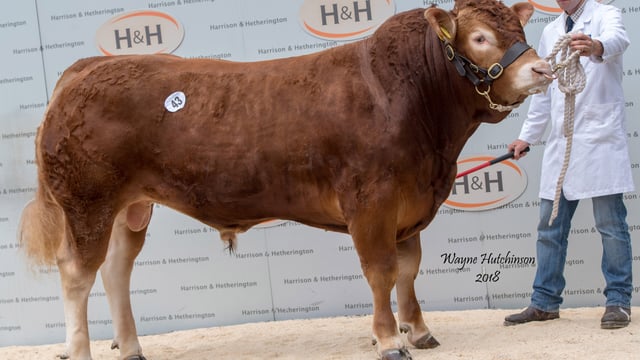 Report: Lim summer sale up by more than £400 on 2017