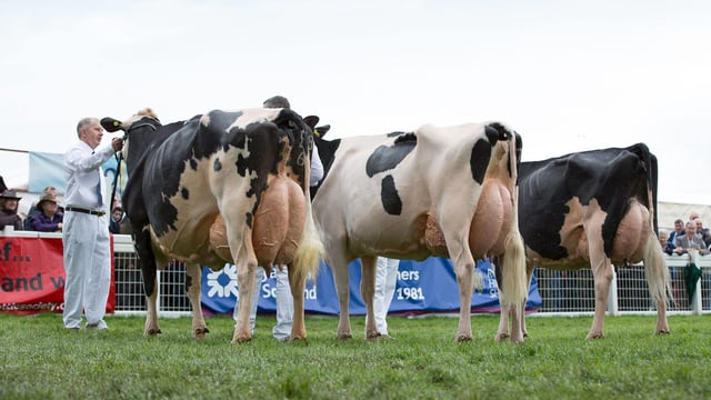 Finalists Announced for 2019 Holstein UK President’s Medal
