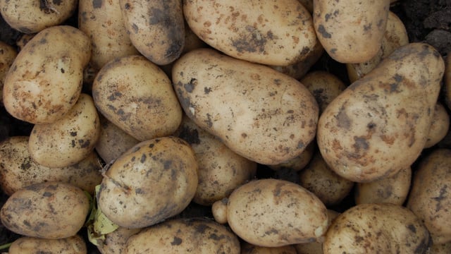 The humble potato needs an image change