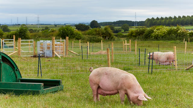 ‘Smart’ farms to transform how we produce food