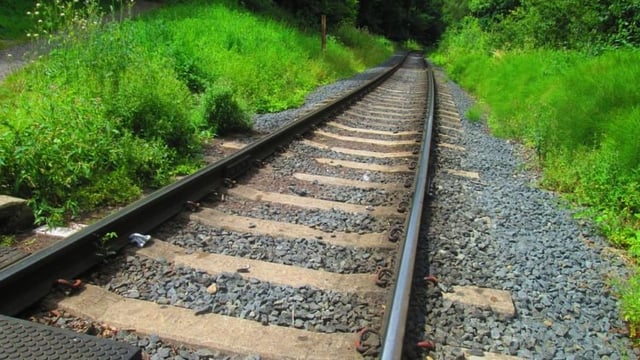 Irish cross-country train hits herd of cows