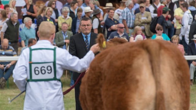 Champion Limousin manages Interbreed Reserve at Great Yorkshire Show