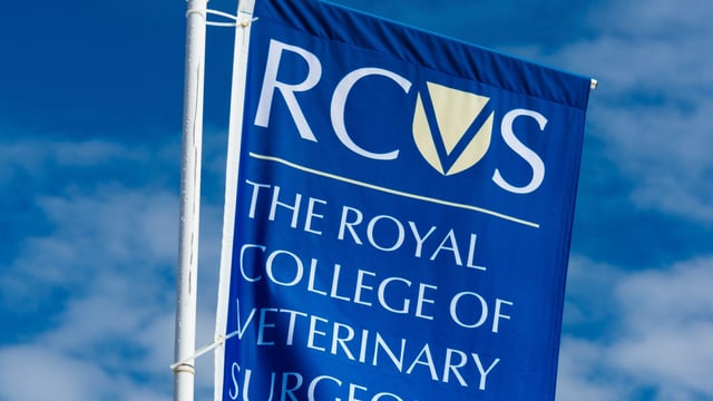 Tributes paid to former RCVS president Brian Singleton